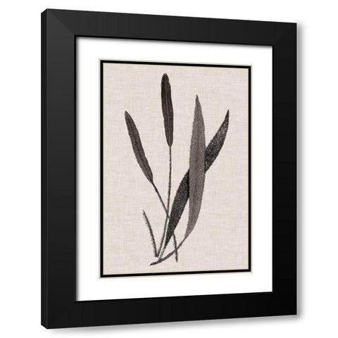 Custom Fern Family VI (LG) Black Modern Wood Framed Art Print with Double Matting by Lowe