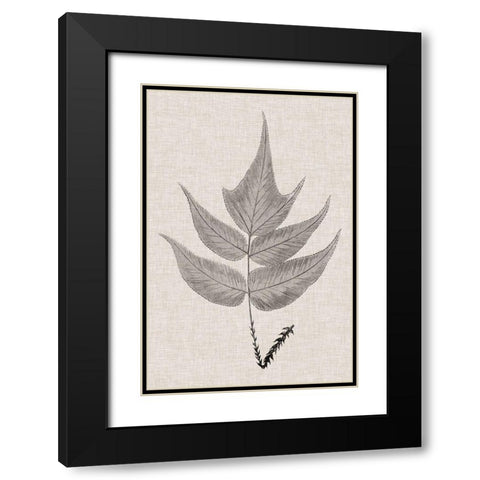 Custom Fern Family VII (LG) Black Modern Wood Framed Art Print with Double Matting by Lowe