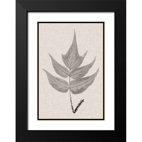 Custom Fern Family VII (LG) Black Modern Wood Framed Art Print with Double Matting by Lowe