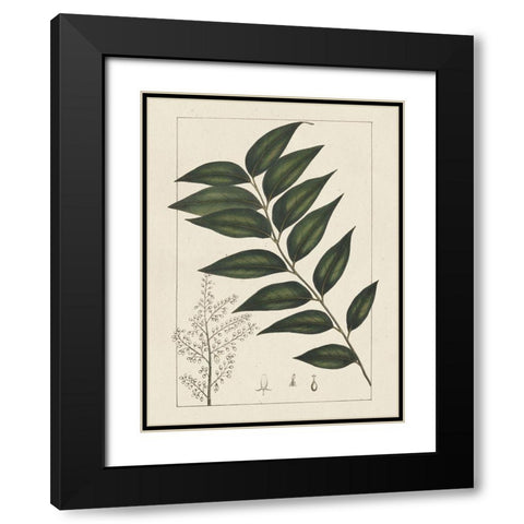 Custom Silva Leaves III (ASH) Black Modern Wood Framed Art Print with Double Matting by Silva, John