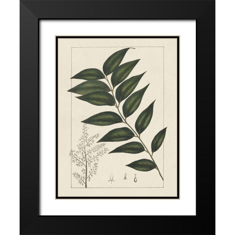 Custom Silva Leaves III (ASH) Black Modern Wood Framed Art Print with Double Matting by Silva, John