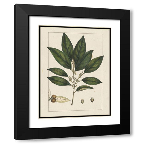 Custom Silva Leaves IV (ASH) Black Modern Wood Framed Art Print with Double Matting by Silva, John