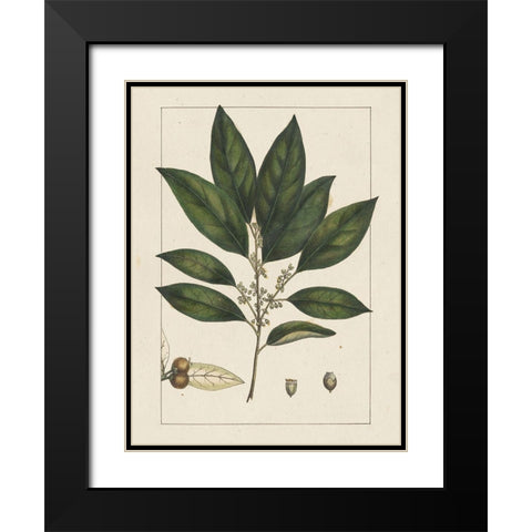 Custom Silva Leaves IV (ASH) Black Modern Wood Framed Art Print with Double Matting by Silva, John