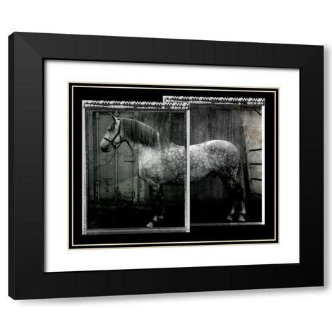 Equine Double Take IV Black Modern Wood Framed Art Print with Double Matting by Friedman, Susan