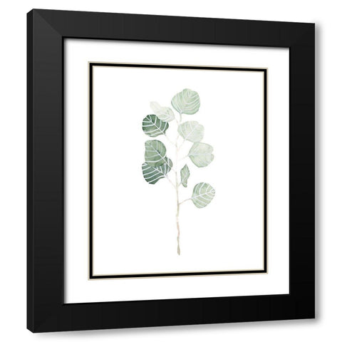 Soft Eucalyptus Branch I Black Modern Wood Framed Art Print with Double Matting by Scarvey, Emma