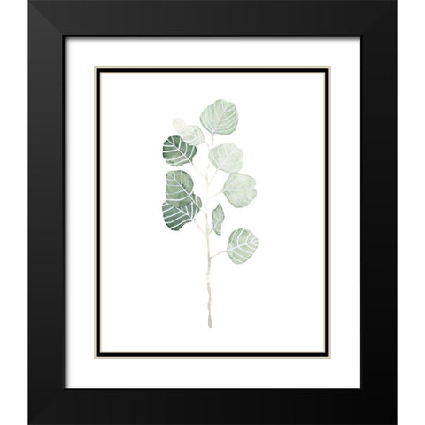 Soft Eucalyptus Branch I Black Modern Wood Framed Art Print with Double Matting by Scarvey, Emma