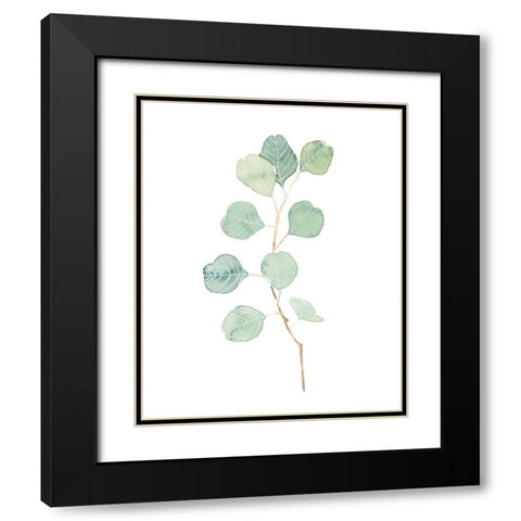 Soft Eucalyptus Branch IV Black Modern Wood Framed Art Print with Double Matting by Scarvey, Emma