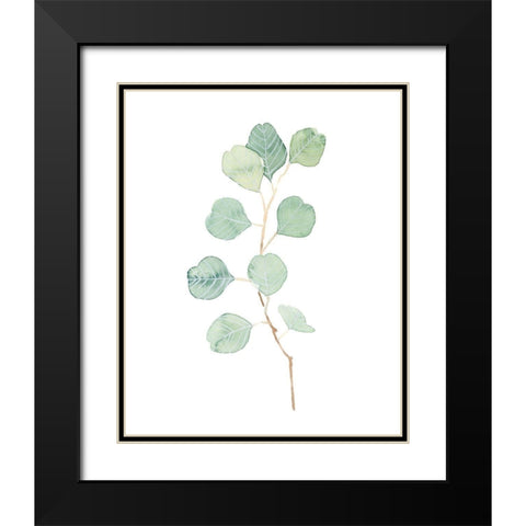 Soft Eucalyptus Branch IV Black Modern Wood Framed Art Print with Double Matting by Scarvey, Emma