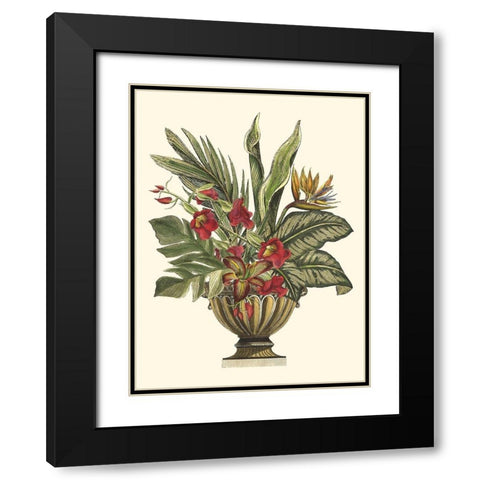 Tropical Foliage in Urn II  Black Modern Wood Framed Art Print with Double Matting by Vision Studio