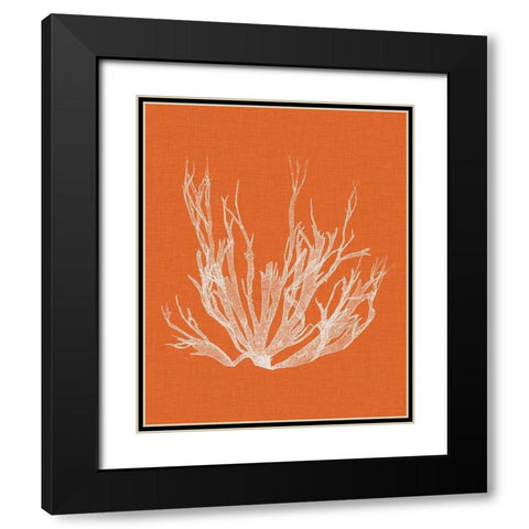 Seaweed Pop I Black Modern Wood Framed Art Print with Double Matting by Vision Studio