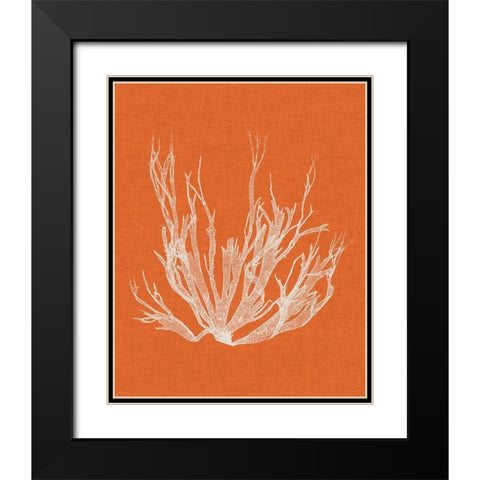 Seaweed Pop I Black Modern Wood Framed Art Print with Double Matting by Vision Studio