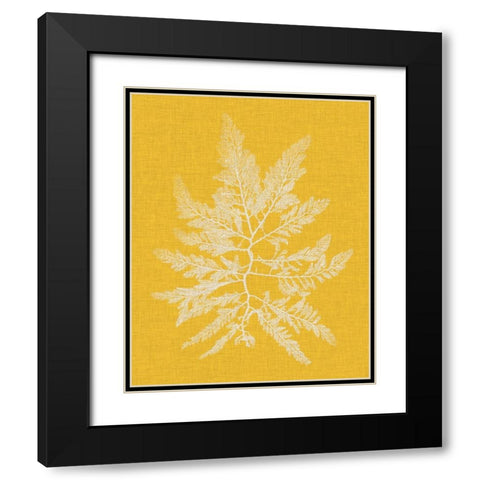 Seaweed Pop II Black Modern Wood Framed Art Print with Double Matting by Vision Studio