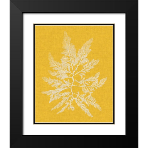 Seaweed Pop II Black Modern Wood Framed Art Print with Double Matting by Vision Studio