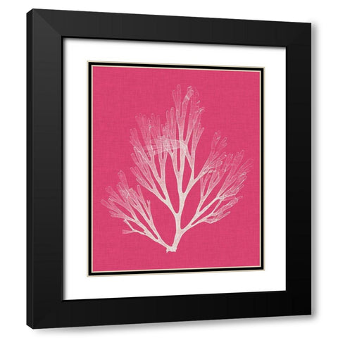 Seaweed Pop III Black Modern Wood Framed Art Print with Double Matting by Vision Studio