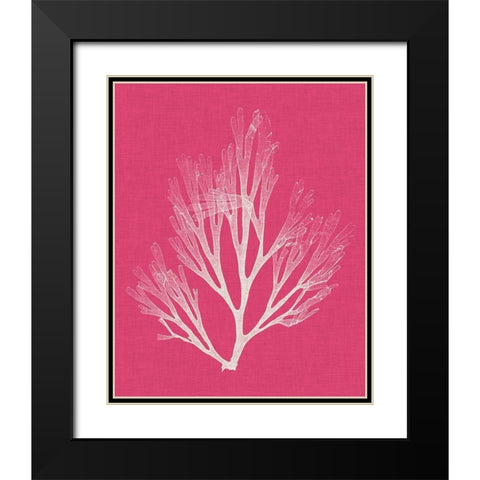 Seaweed Pop III Black Modern Wood Framed Art Print with Double Matting by Vision Studio