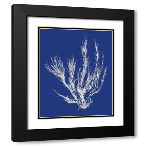 Seaweed Pop VI Black Modern Wood Framed Art Print with Double Matting by Vision Studio