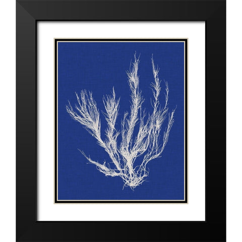 Seaweed Pop VI Black Modern Wood Framed Art Print with Double Matting by Vision Studio