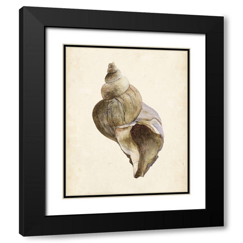 3-UP Watercolor Seashell II Black Modern Wood Framed Art Print with Double Matting by Wang, Melissa