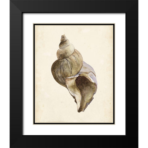 3-UP Watercolor Seashell II Black Modern Wood Framed Art Print with Double Matting by Wang, Melissa