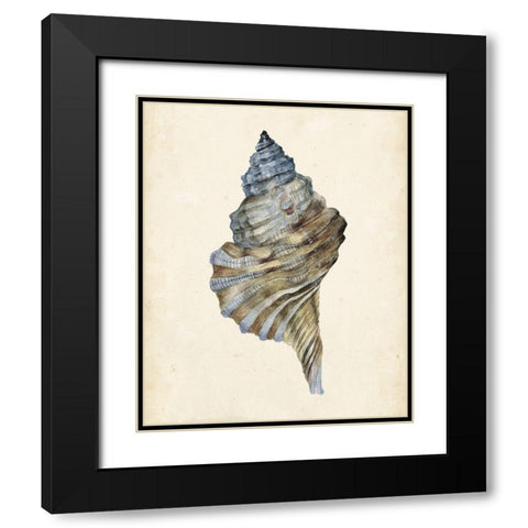 3-UP Watercolor Seashell III Black Modern Wood Framed Art Print with Double Matting by Wang, Melissa