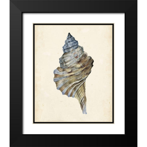 3-UP Watercolor Seashell III Black Modern Wood Framed Art Print with Double Matting by Wang, Melissa