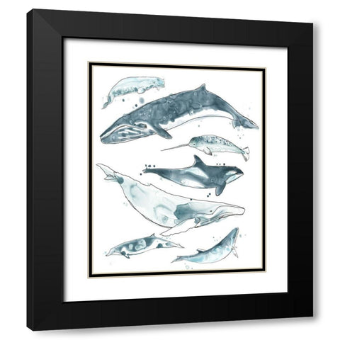 3-UP Cetacea I Black Modern Wood Framed Art Print with Double Matting by Vess, June Erica
