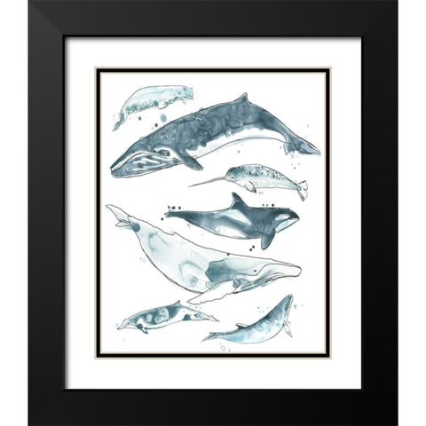 3-UP Cetacea I Black Modern Wood Framed Art Print with Double Matting by Vess, June Erica