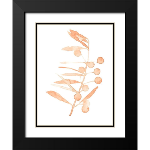 Blush Olive Branch III Black Modern Wood Framed Art Print with Double Matting by Scarvey, Emma