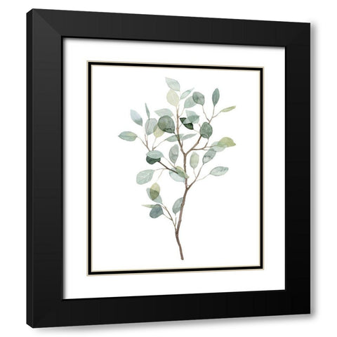 Seaglass Eucalyptus I Black Modern Wood Framed Art Print with Double Matting by Popp, Grace