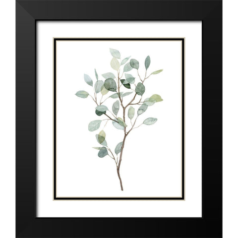 Seaglass Eucalyptus I Black Modern Wood Framed Art Print with Double Matting by Popp, Grace