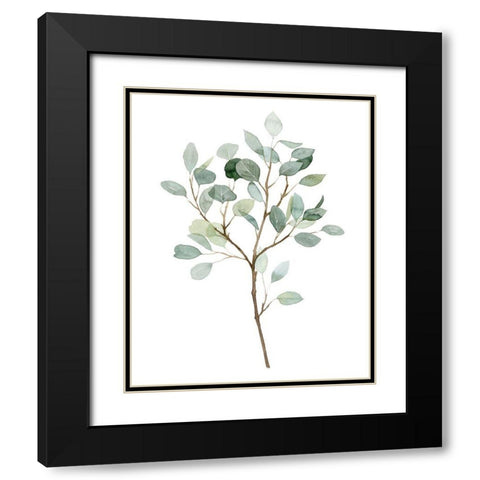 Seaglass Eucalyptus II Black Modern Wood Framed Art Print with Double Matting by Popp, Grace
