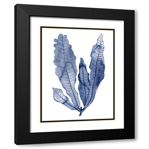 Seaweed Under Water IV Black Modern Wood Framed Art Print with Double Matting by Wang, Melissa