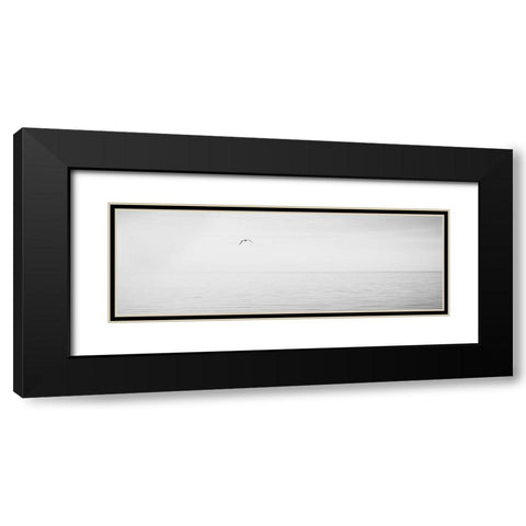 Black and White Water Panel XVI Black Modern Wood Framed Art Print with Double Matting by McLoughlin, James