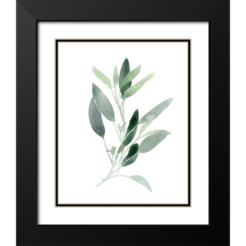 Simple Sage III Black Modern Wood Framed Art Print with Double Matting by Scarvey, Emma