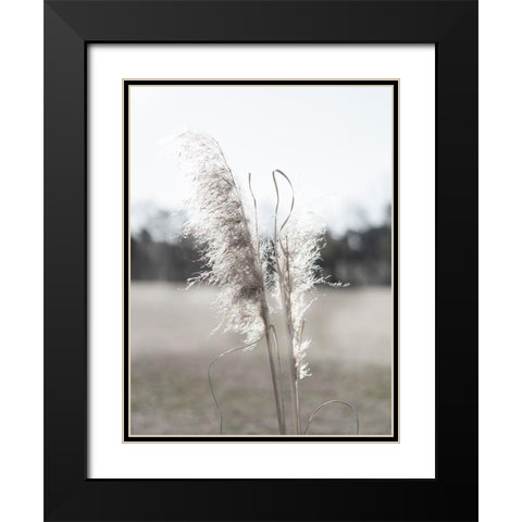 Ethereal Pampas I Black Modern Wood Framed Art Print with Double Matting by Johnson, Jason
