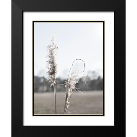 Ethereal Pampas II Black Modern Wood Framed Art Print with Double Matting by Johnson, Jason