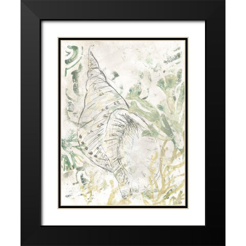 Verdant Shell Fresco II Black Modern Wood Framed Art Print with Double Matting by Vess, June Erica