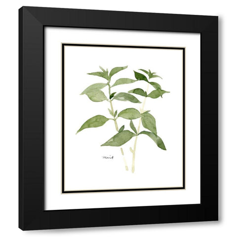 Herb Garden Sketches I Black Modern Wood Framed Art Print with Double Matting by Scarvey, Emma