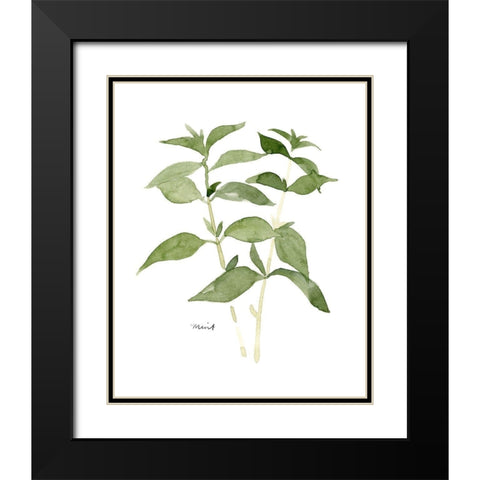 Herb Garden Sketches I Black Modern Wood Framed Art Print with Double Matting by Scarvey, Emma