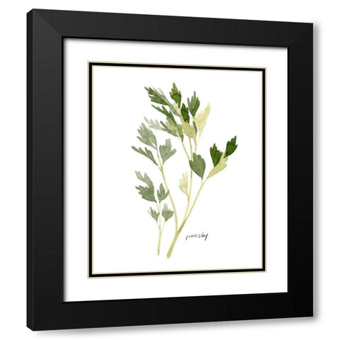 Herb Garden Sketches II Black Modern Wood Framed Art Print with Double Matting by Scarvey, Emma