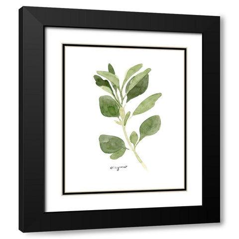 Herb Garden Sketches III Black Modern Wood Framed Art Print with Double Matting by Scarvey, Emma