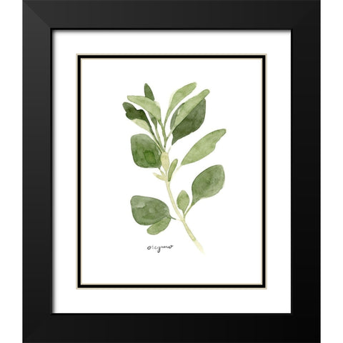 Herb Garden Sketches III Black Modern Wood Framed Art Print with Double Matting by Scarvey, Emma