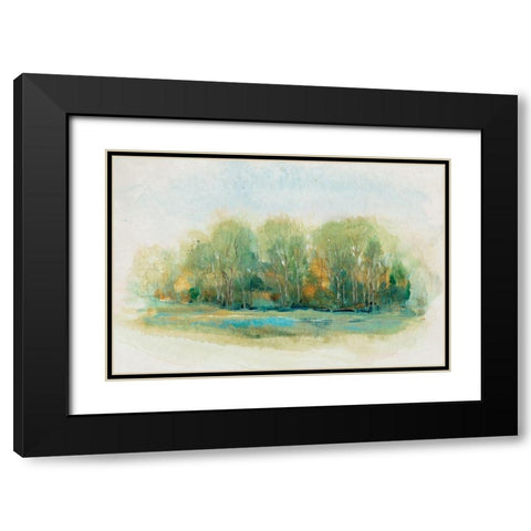 Forest Vignette I Black Modern Wood Framed Art Print with Double Matting by OToole, Tim
