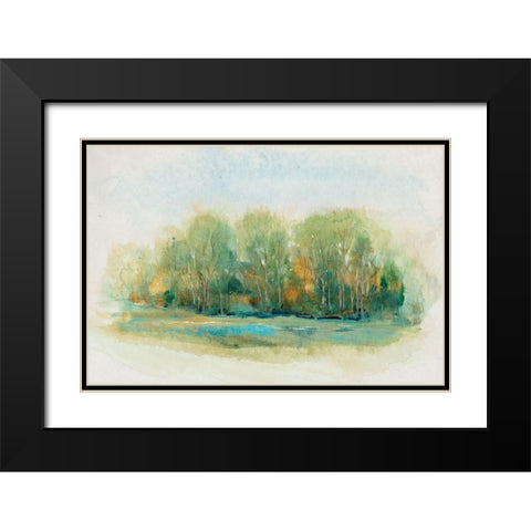 Forest Vignette I Black Modern Wood Framed Art Print with Double Matting by OToole, Tim