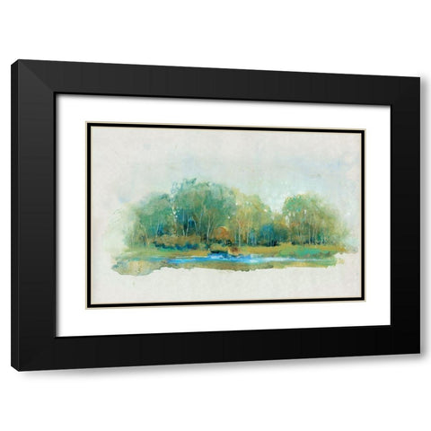 Forest Vignette II Black Modern Wood Framed Art Print with Double Matting by OToole, Tim