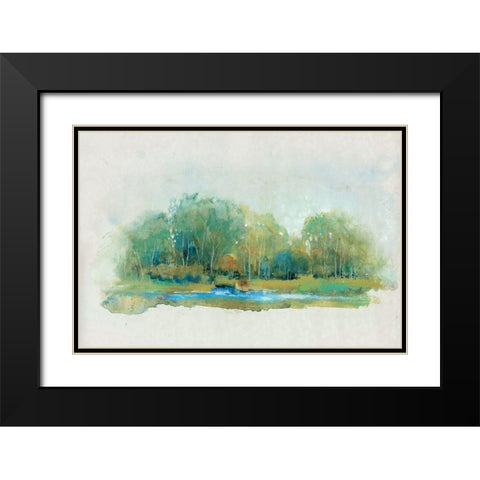 Forest Vignette II Black Modern Wood Framed Art Print with Double Matting by OToole, Tim