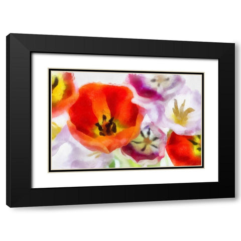 Best Wishes I Black Modern Wood Framed Art Print with Double Matting by Hartson-Weddle, Ryan