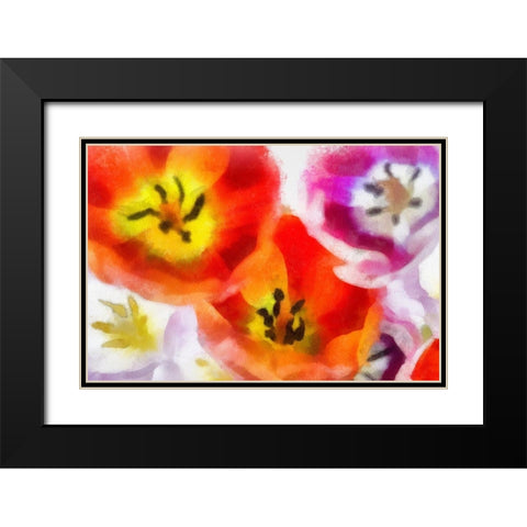 Best Wishes II Black Modern Wood Framed Art Print with Double Matting by Hartson-Weddle, Ryan