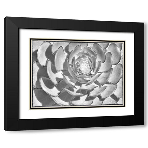 One After Another I Black Modern Wood Framed Art Print with Double Matting by Hartson-Weddle, Ryan
