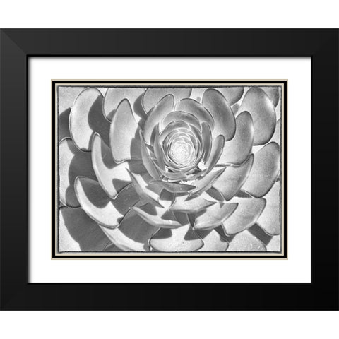 One After Another I Black Modern Wood Framed Art Print with Double Matting by Hartson-Weddle, Ryan